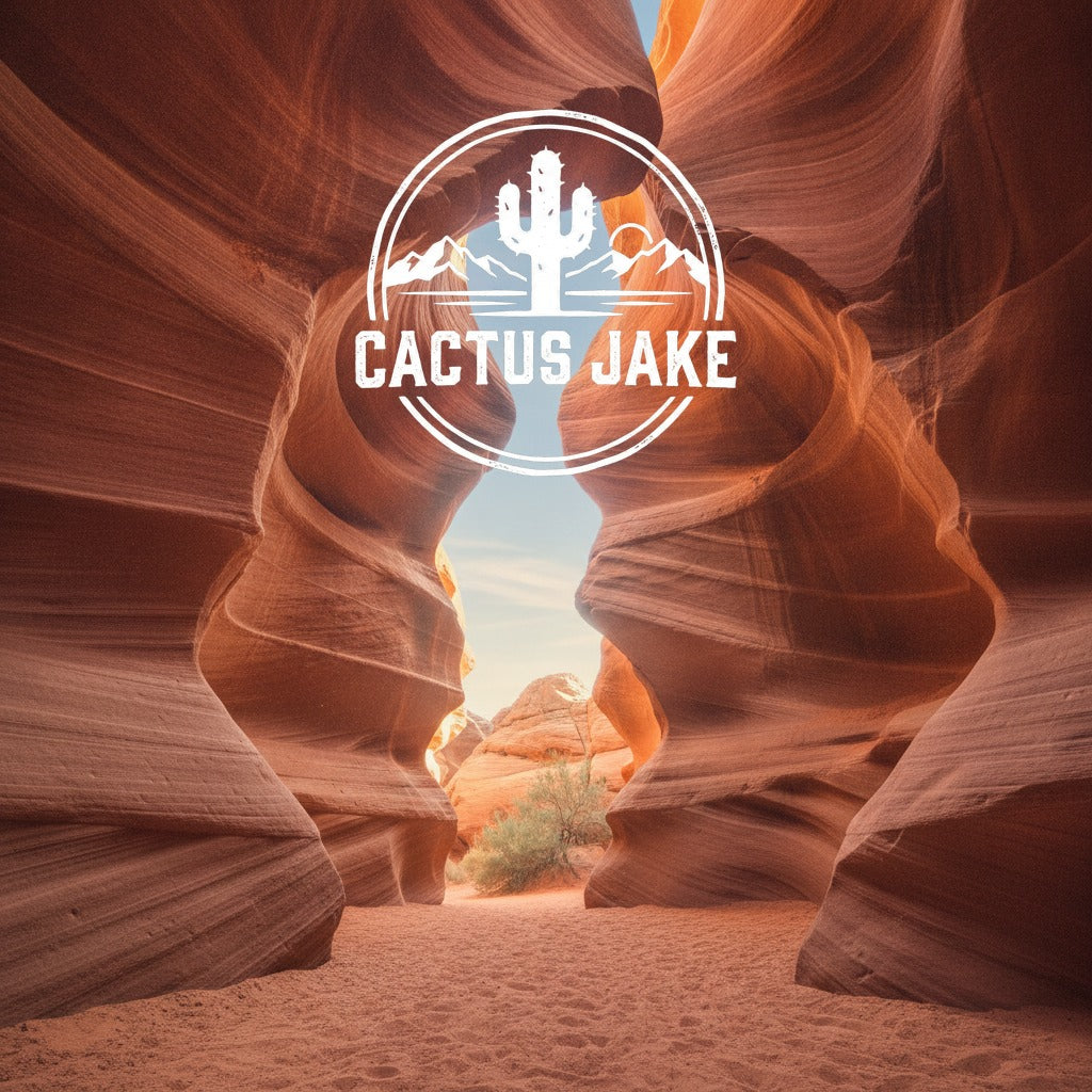 Southwest desert scene, Cactus Jake