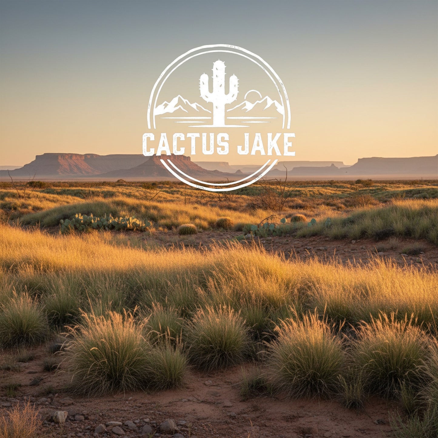 Southwest desert scene, Cactus Jake
