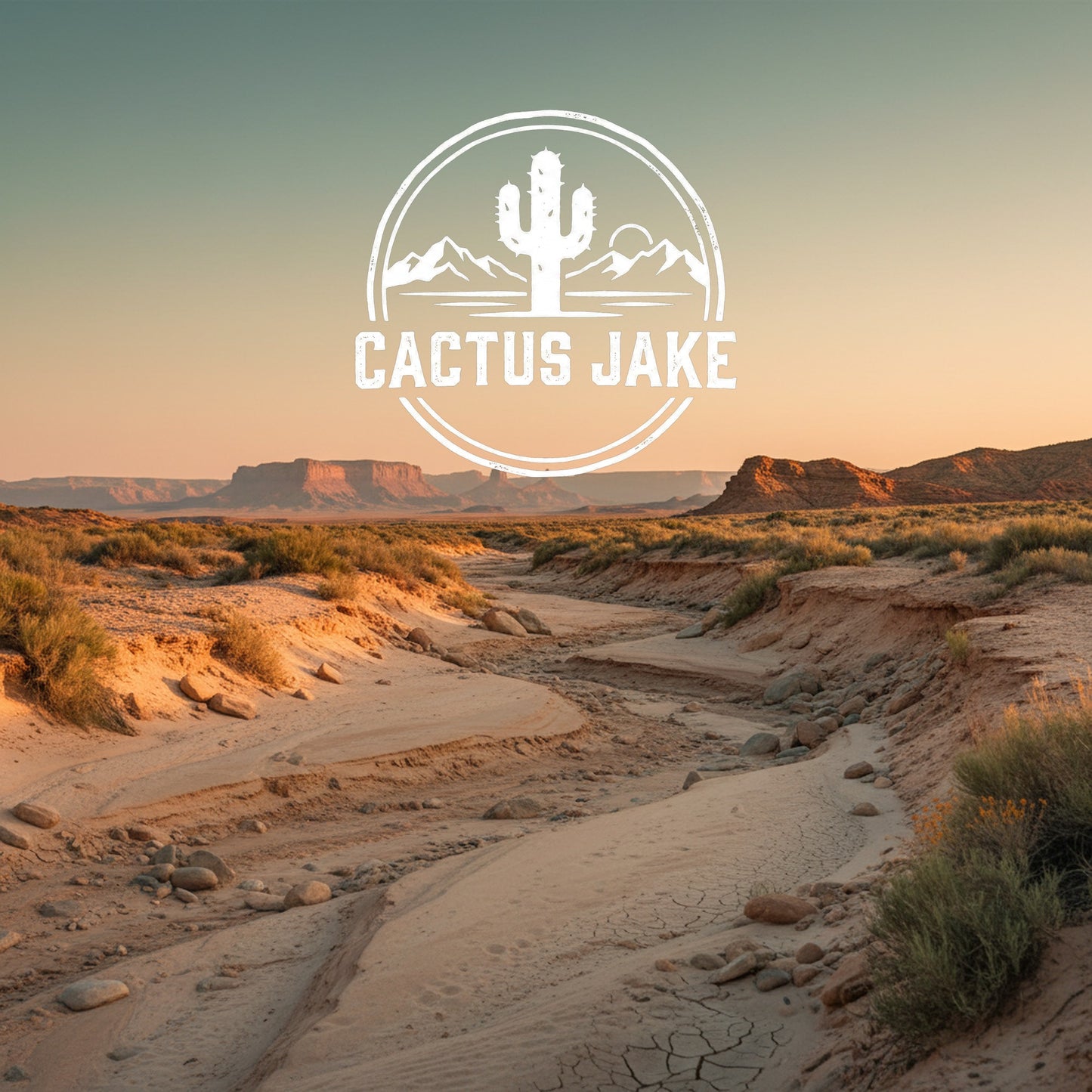 Southwest desert scene, Cactus Jake