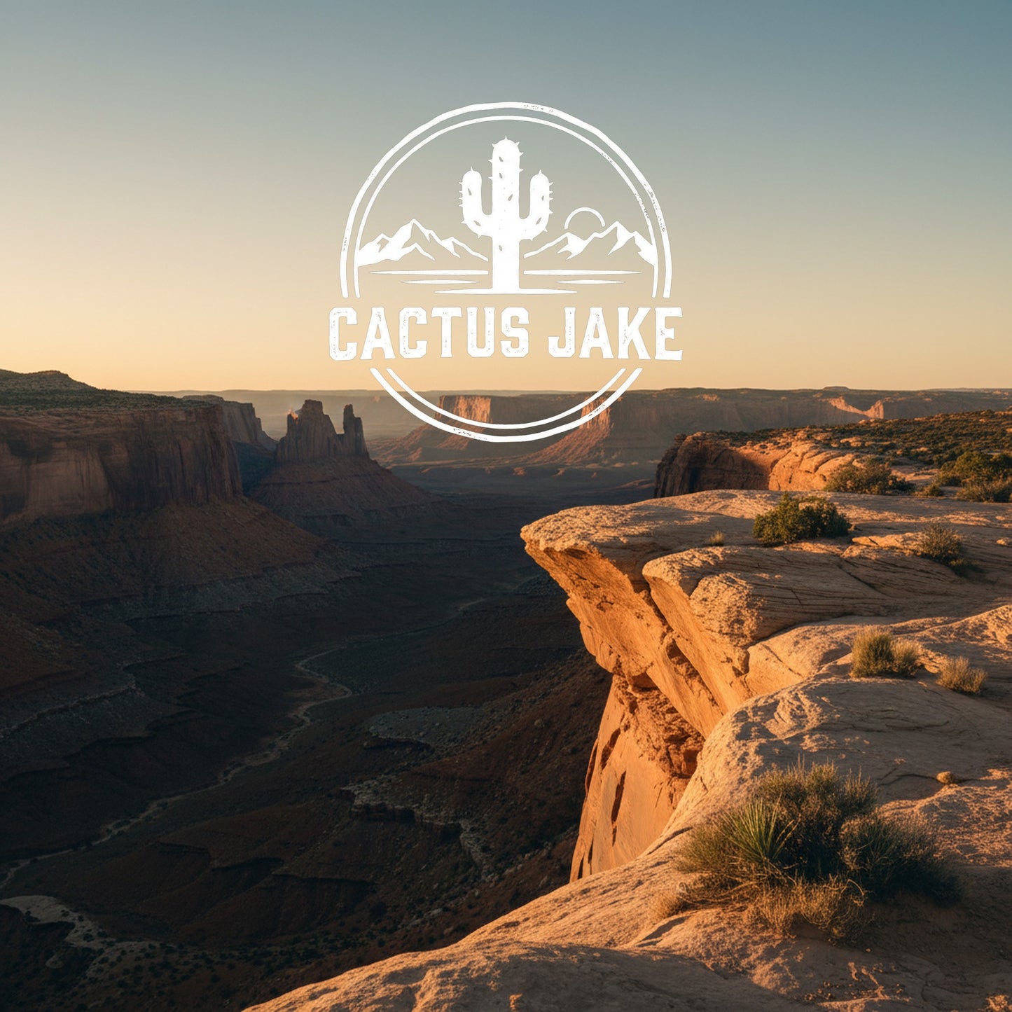 Southwest desert scene, Cactus Jake