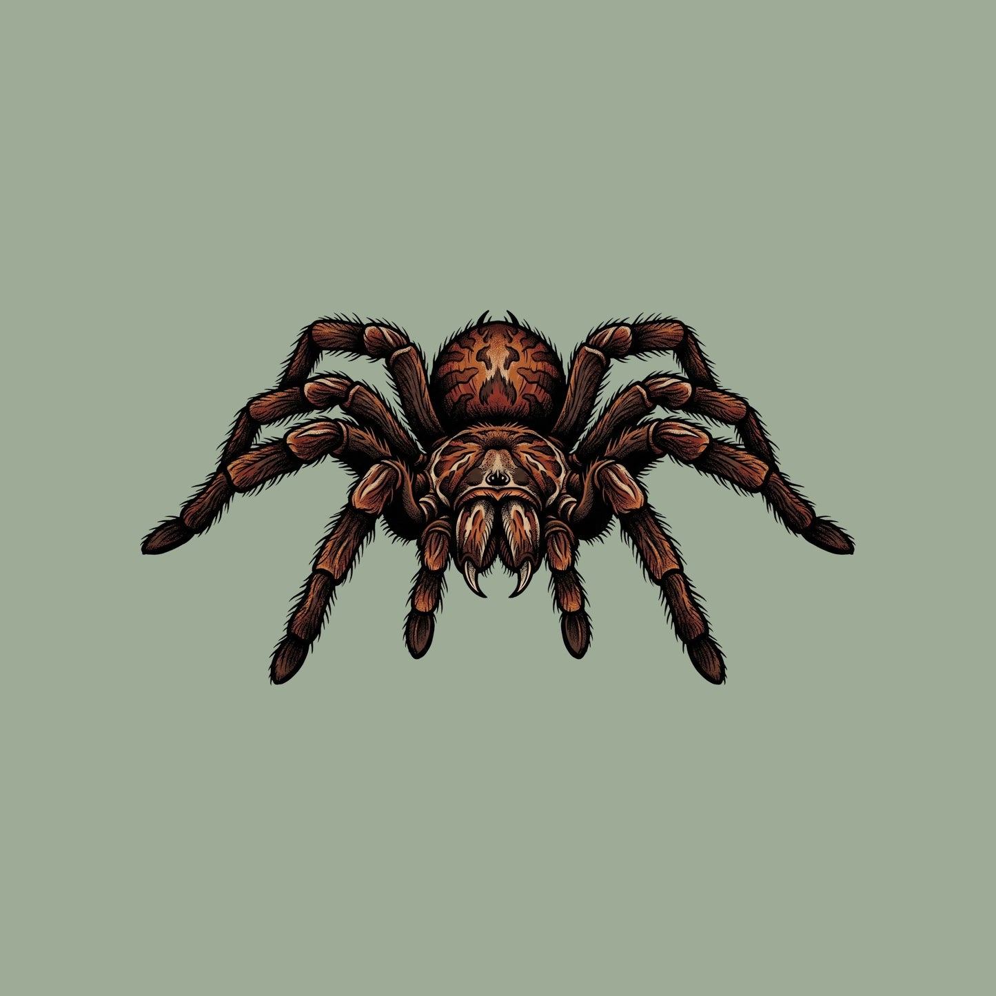 Desert Tarantula Close Up Tee