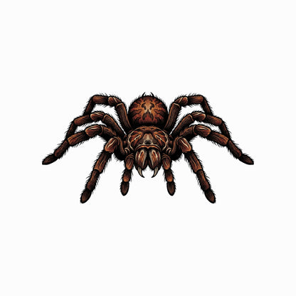 Desert Tarantula Close Up Tee