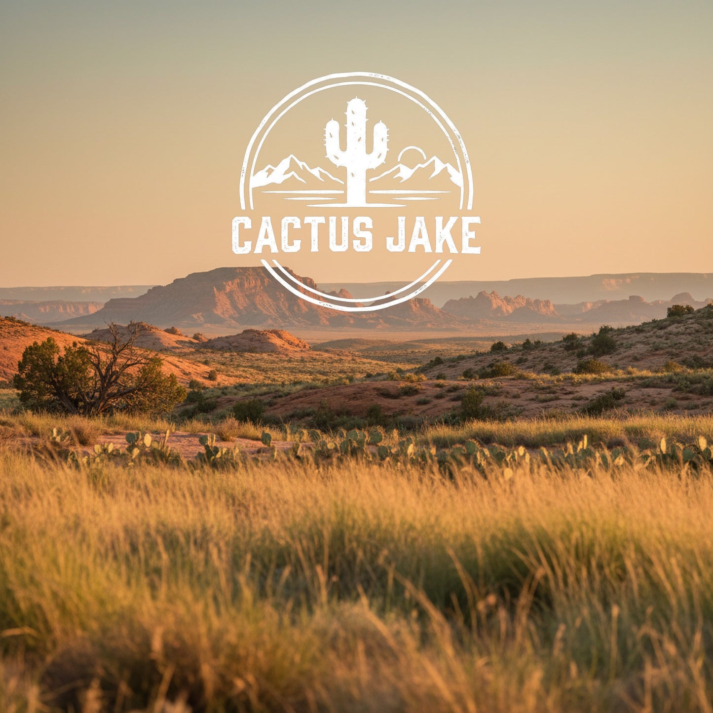 Southwest desert scene, Cactus Jake