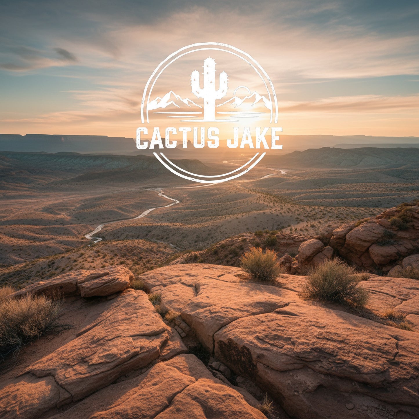 Southwest desert scene, Cactus Jake