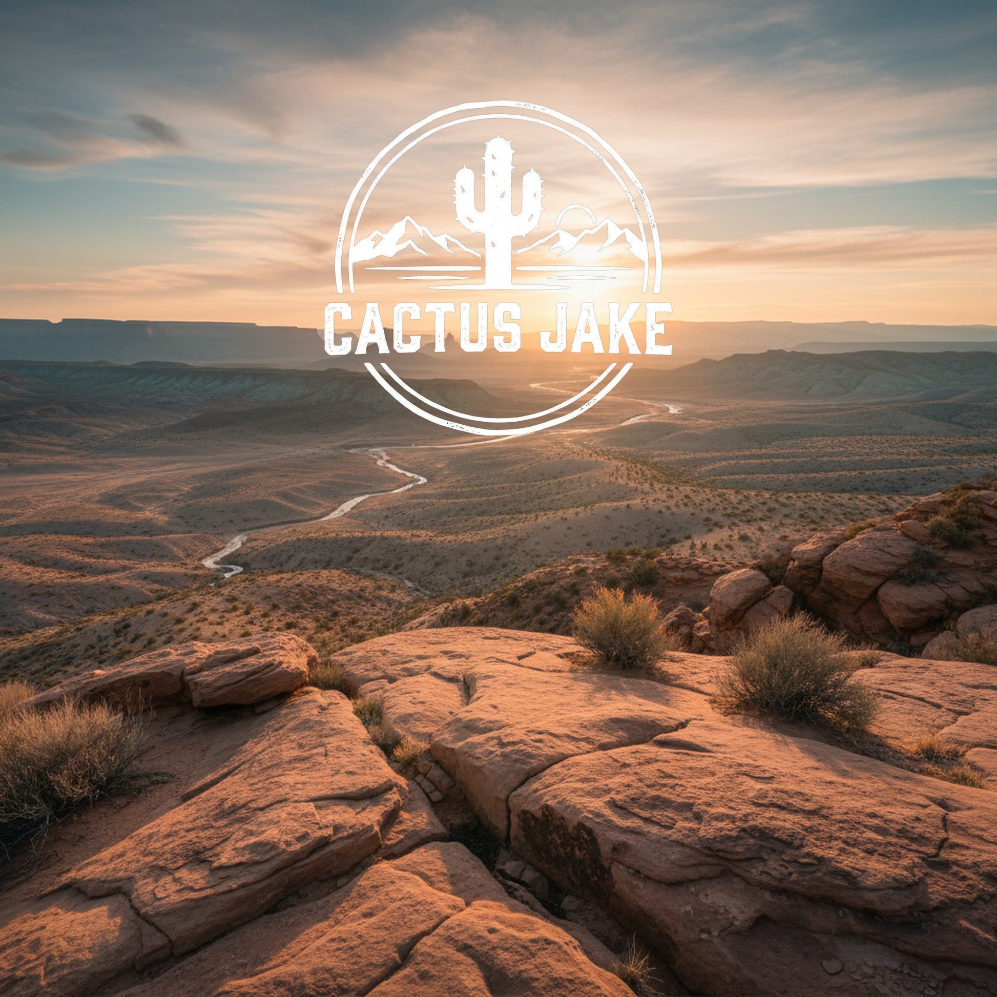 Southwest desert scene, Cactus Jake